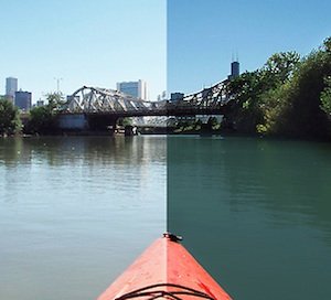 polarized vs non-polarized sunglasses for fishing