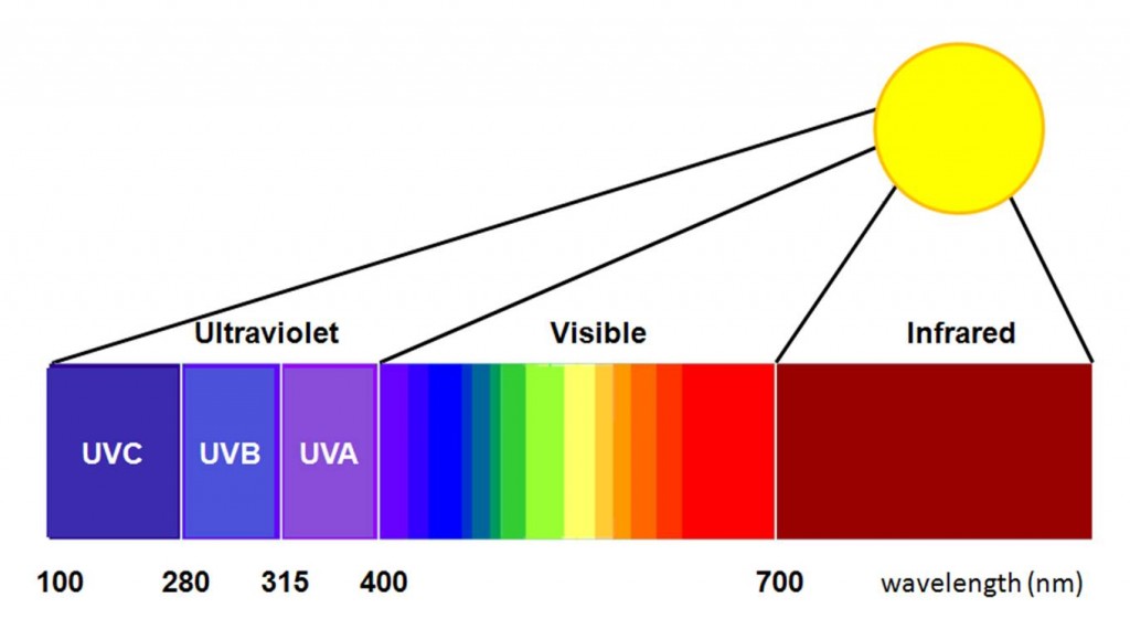 Difference Between Progressive and Transitions® Lenses, Blog