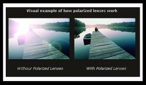 are polarized lenses better for your eyes